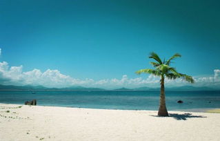 海南 新型旅游產(chǎn)品重環(huán)保 旅行社發(fā)展謀升級(jí)