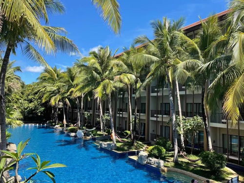 疫情2年后 旅游從業(yè)者過(guò)的如何